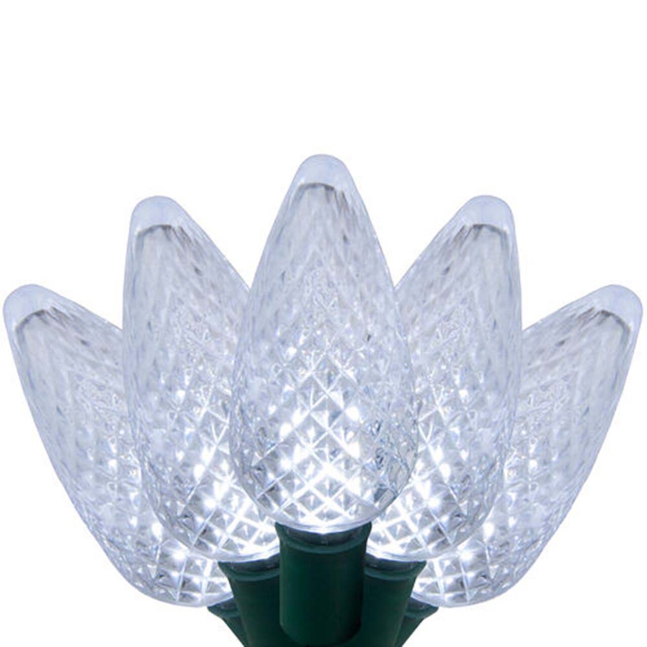 25 Cool White C9 LED Christmas Lights, Green Wire, 8" Spacing